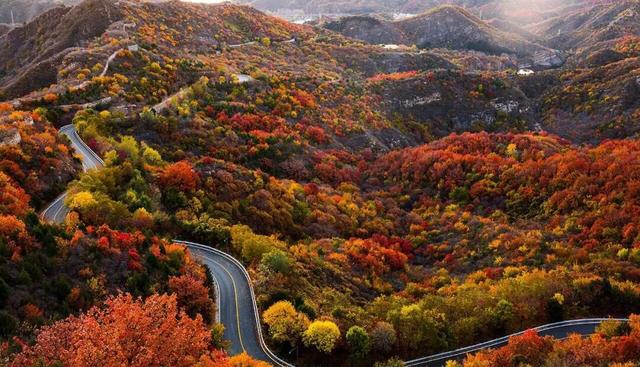 五彩斑斓！北京“漫山红叶”进最佳观赏期!