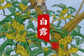 关于白露的24句话！图片