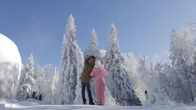 和龙顶流！美翻了！