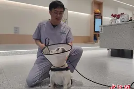 桂林“80后”理工男创办宠物医院 为动物打造安心之家图片