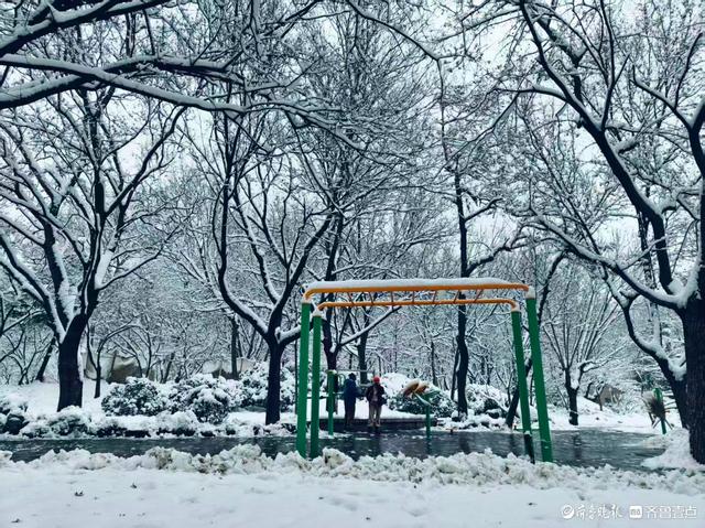 雪中泉城公园美不胜收