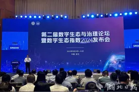 《数字生态指数2024》发布 武汉位列数字生态城市全国第六图片