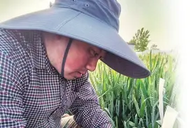 一粒“种子”的执着——记许昌市农科院小麦育种专家张存利图片