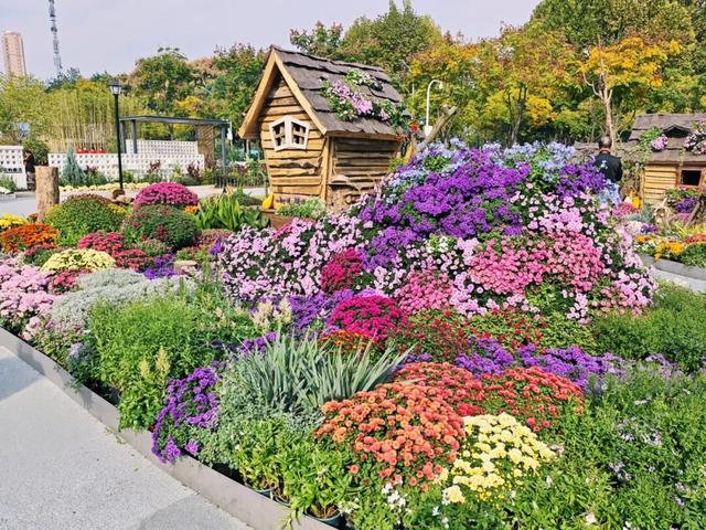 坐地铁，打卡武汉第42届金秋菊展