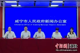 “健康咸宁建设”基本实现城市15分钟健康服务圈图片