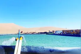 为了沙漠中珍贵的水……图片