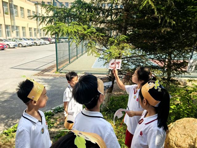 当生态课遇见游考现场！东北师大附小繁荣校区一二年级小萌娃用五色视角解码生命奥秘