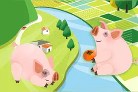 一图了解｜“荣昌猪”何以成为金字招牌？图片