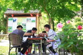 麻城大力推进写生经济发展图片