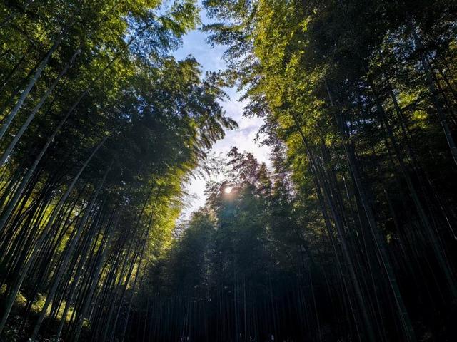 晚潮｜一脚踏三省，一步一人生