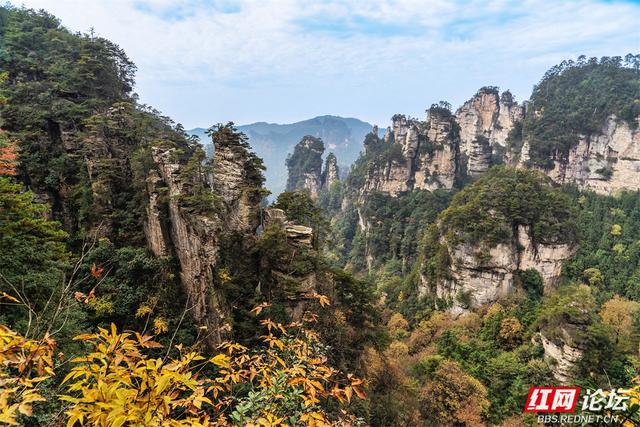 【每日一图@湖南】秋冬自驾必冲！张家界黄石寨暖阳峰林美到出圈