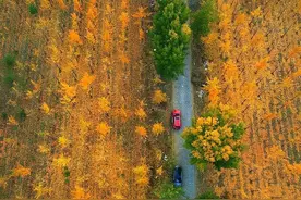 国庆假期，等你来槐荫打卡图片