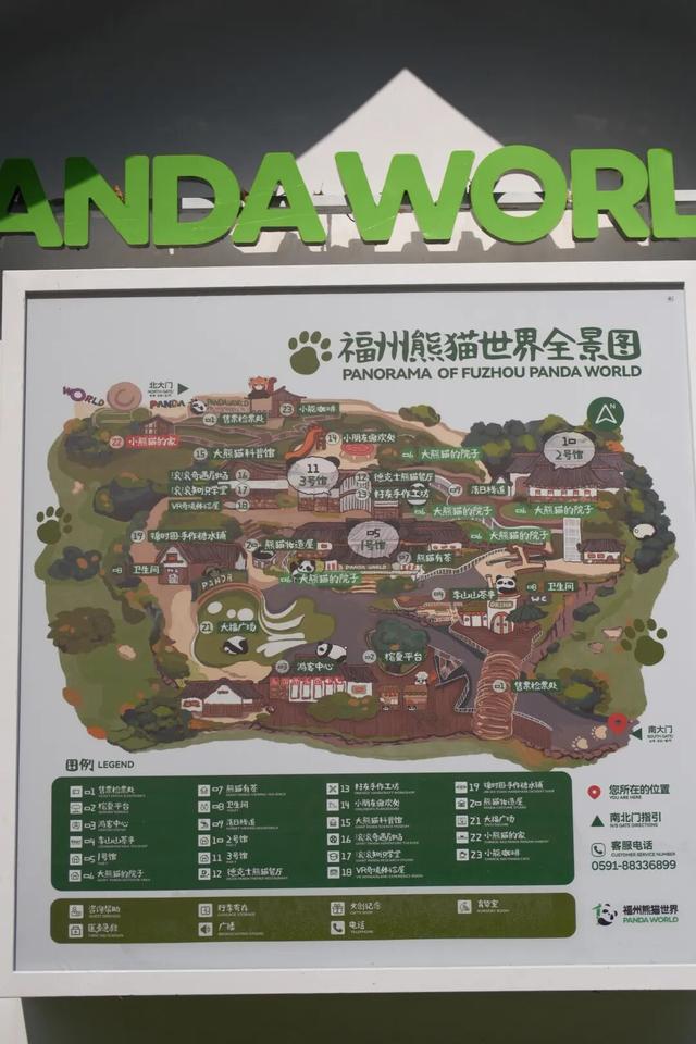 欢迎来到熊猫的家！保姆级攻略请收好！