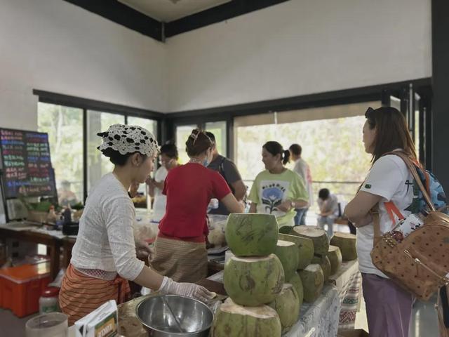 版纳植物园暑期，解锁无忧畅游清凉体验！
