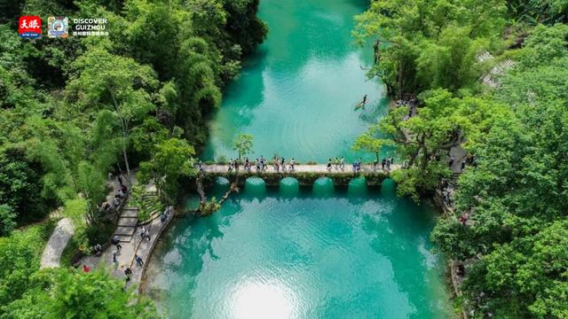 你有一份来自荔波万亩梅原的邀约 You Have an Invitation From the Plum Blossom Garden in Libo