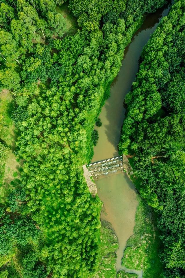 在坪山赴一场“海”的约会
