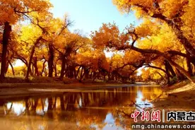 额济纳旗各景区门票30天内不限入园次数图片