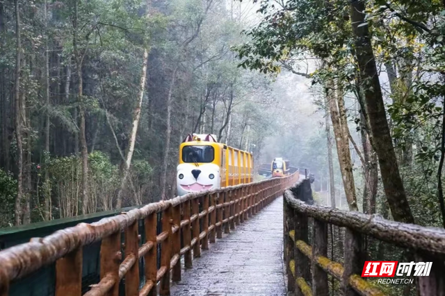 张家界十里画廊：水墨仙境中，12生肖观光电车开启童话之旅
