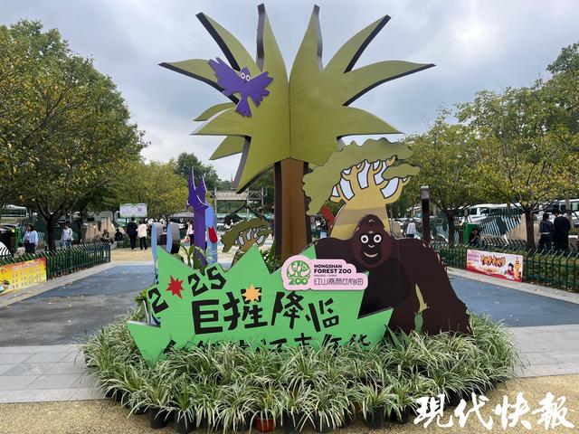 红山动物园调价前迎办卡高峰，市民争赶“80元年卡”末班车