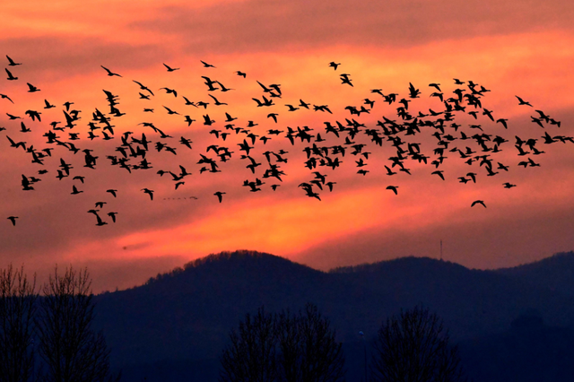 绝绝子！除了绝绝子，我还能怎么夸洛阳