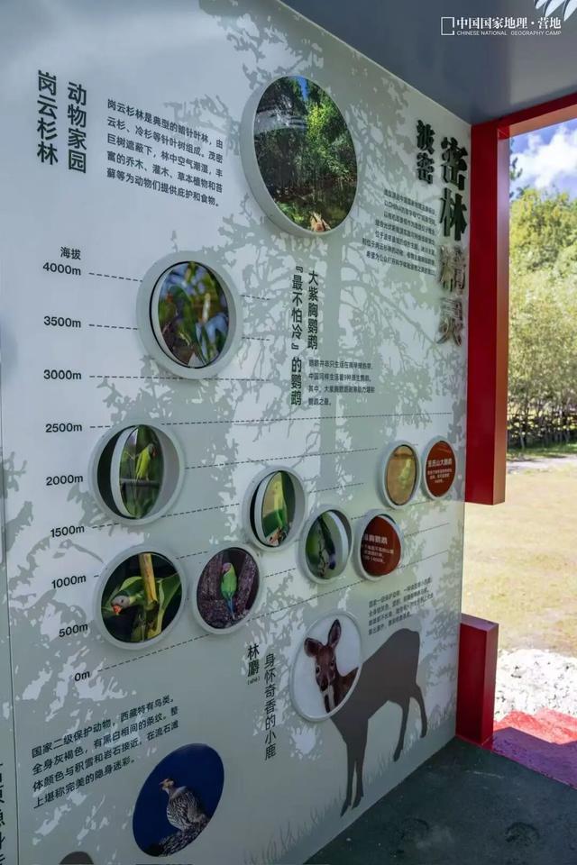 波密零碳自然驿站矩阵落成