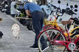 不建议食用更不能放生！街头挑卖的鳖别随便买图片