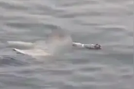 大难不死必有“厚服”？女孩坠海靠羽绒服漂浮自救图片