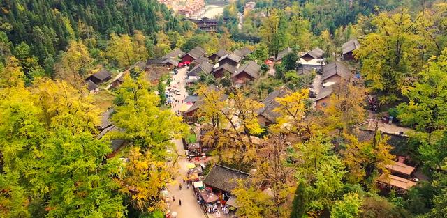 来金色妥乐 赏深秋美景