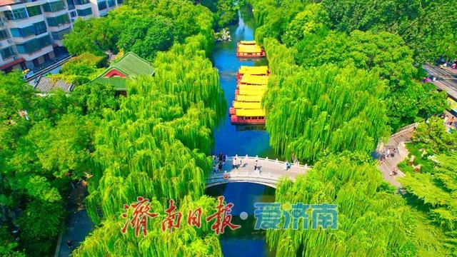 一年四季 泉在济南丨济南护城河水位显著上涨，迎来一年最佳观赏期