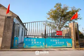 领养代替买卖，实地探访日照“狗狗之家”图片