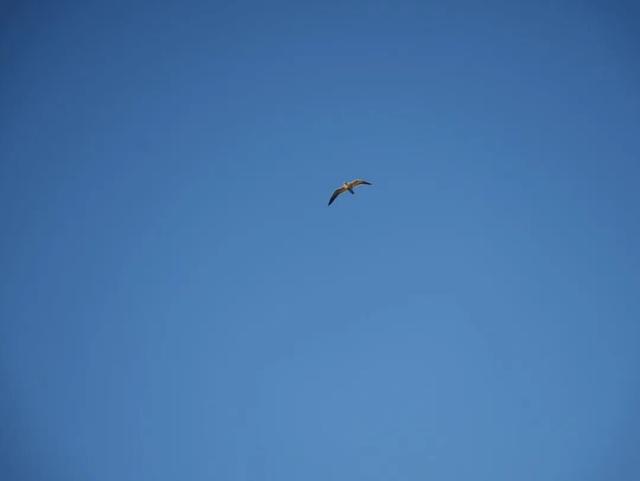 30岁未婚，我选择辞职去环球航海