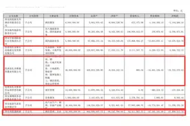 西安旅游2023年净亏损1.54亿元 17家子公司仅4家盈利图片