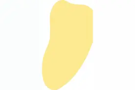 冬笋抢“鲜”上市！今年你吃了吗？图片