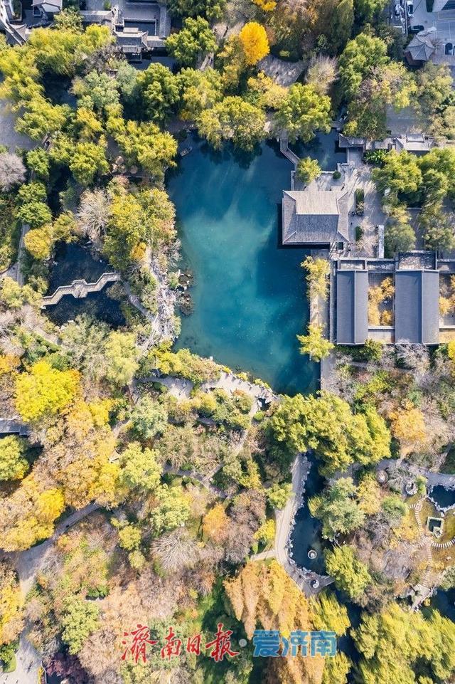 一年四季 泉在济南丨初冬时节，五龙潭公园色彩斑斓景致如画