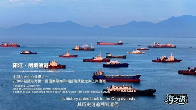 多位外籍网红博主“打卡”阳江