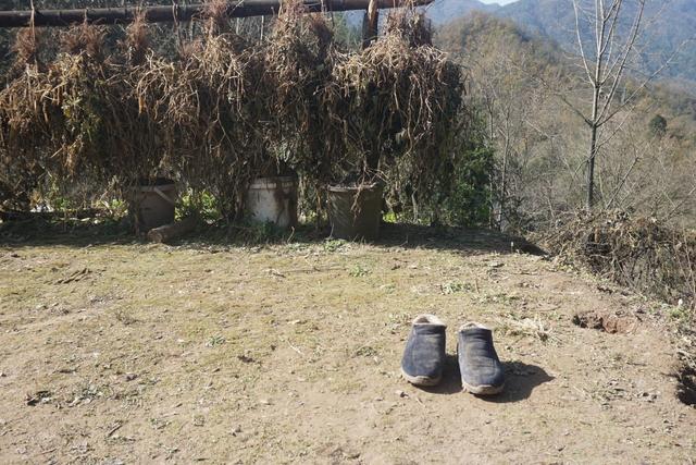 坚韧地背负日常苦难，这才是中国人的活法丨记者手记