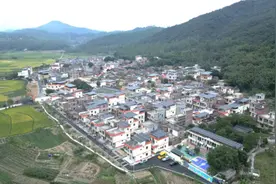 江西水电肇庆光伏项目群高效履约助推乡村振兴图片