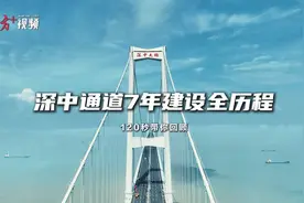 10项世界之最！120秒回顾深中通道7年建设图片