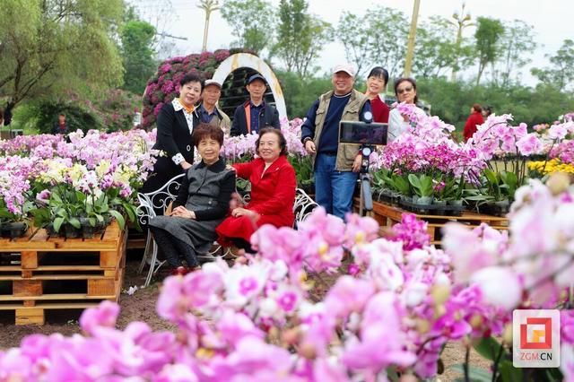 贡井建设镇：秋色满园关不住 近郊赏花正当时