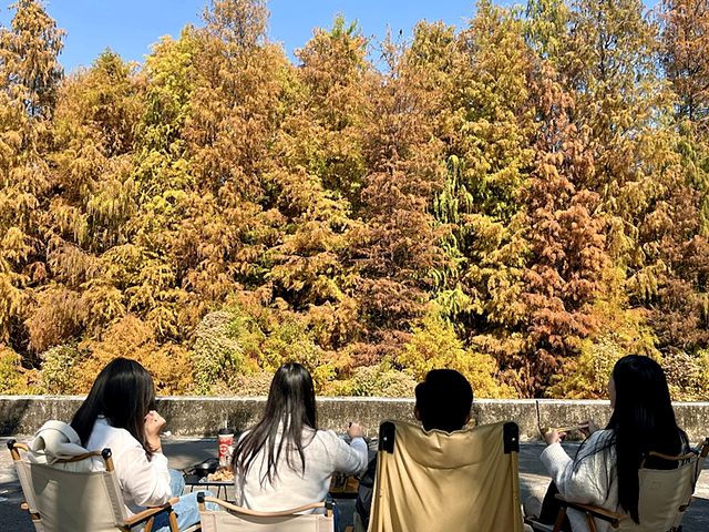 最近这里火了！出行提醒→