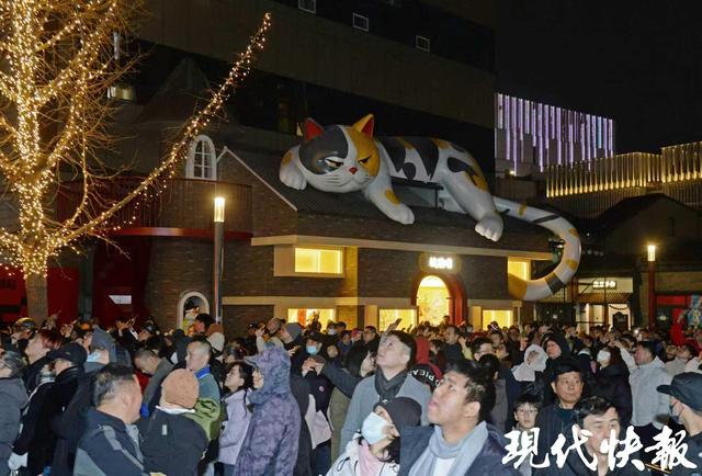 读城｜大“喵”弄！常州千年城隍巷成了“喵星人乐园”