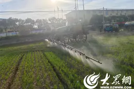 微山县西平镇大力普及农业机械化 助农促丰收图片