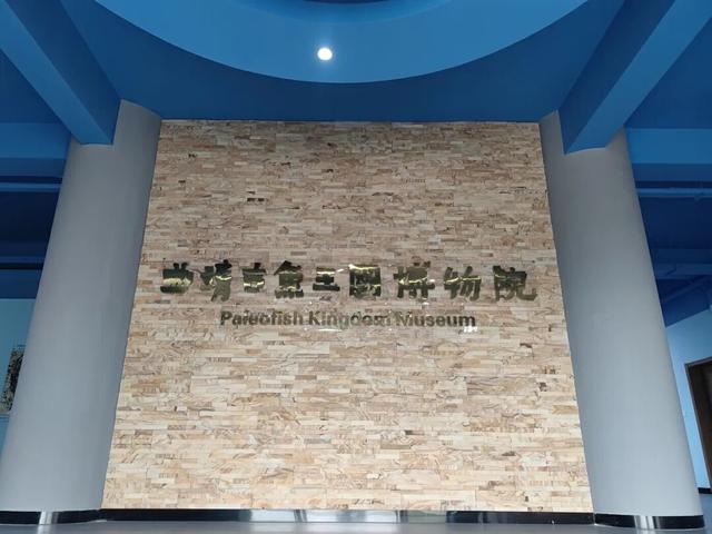 澜湄光影落曲靖，五张名片入画来