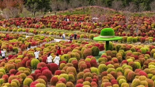 旅超大赛！金山主打“免费潮”，周末快来薅羊毛