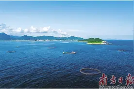 阳西海陆并进齐发展 城乡融合谱新篇图片