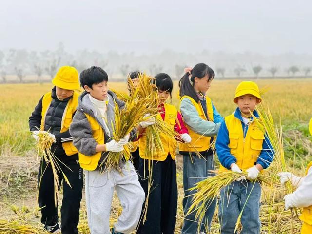 来宿城，解锁N种田园撒欢方式！