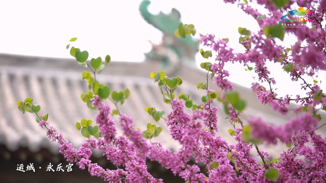 把山西的人间绝色，都藏进对你的深情里