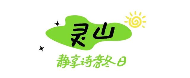 上饶冬日山野真的绝美，赶紧进山“Forest walk”一下~