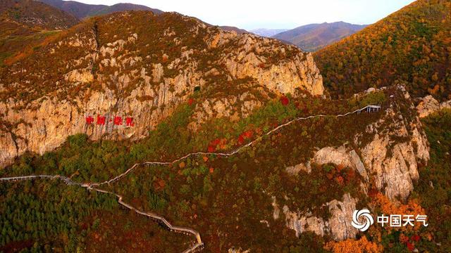 层林尽染 河北崇礼山峦披“彩衣”
