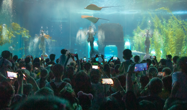 桂林融创乐园海世界，这样玩！